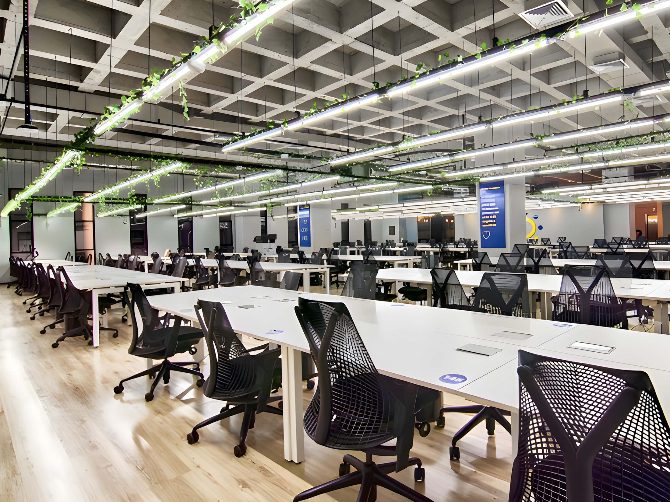 Coworking Jardim Europa – Escritórios Privativos na Rua Renato Paes de Barros